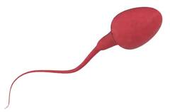 Diet for Low Sperm Count: ਵੀਰਜ ਦੀ ਕਮੀ ਤੇ ਗੁਣਵੱਤਾ ਨੂੰ ਵਧਾਉਣ ਲਈ ਖਾਓ ਇਹ ਸਿਹਤਮੰਦ ਚੀਜ਼ਾਂ