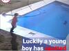 Watch Bravery: ਕੁੱਤੇ ਨੂੰ ਡੁੱਬਦਾ ਦੇਖ ਬੱਚੇ ਨੇ ਵੀ ਮਾਰੀ ਛਾਲ, ਅੱਗੇ ਜੋ ਹੋਇਆ ਦੇਖ ਕੇ ਤੁਹਾਡੇ ਉੱਡ ਜਾਣਗੇ ਹੋਸ਼