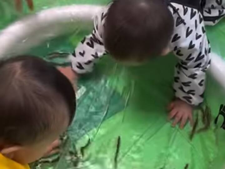 little kids playing with small fishes video viral on social media Watch: मछलियों से खेलते इन मासूम बच्चों का वीडियो वायरल, आप भी देखिए