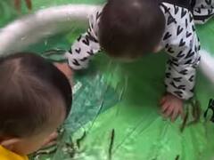 Watch: मछलियों से खेलते इन मासूम बच्चों का वीडियो वायरल, आप भी देखिए