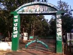 Koriya News: नेशनल पार्क में बाघिन की मौत से हड़कंप, विधायक-सांसद प्रतिनिधि समेत तहसीलदार को घटनास्थल पर जाने से रोका