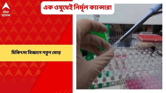 Cancer Treatment : চিকিৎসা বিজ্ঞানে নতুন মোড়! এক ওষুধেই নির্মূল হবে ক্যান্সারের মতো ভয়ঙ্কর মারণ ব্যাধি