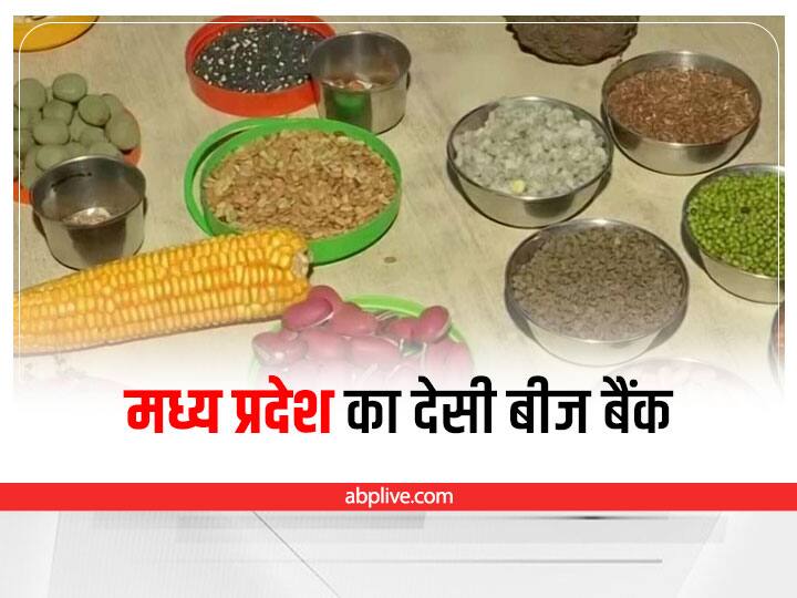 MP News Women from Paradsinga village of Chhindwara District create Desi Seed Bank Chhindwara News: मध्य प्रदेश के पारडसिंगा गांव में चल रहा है 'देसी बीज बैंक', इस तरह से आत्मनिर्भर बन रही हैं महिलाएं