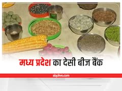 Chhindwara News: मध्य प्रदेश के पारडसिंगा गांव में चल रहा है 'देसी बीज बैंक', इस तरह से आत्मनिर्भर बन रही हैं महिलाएं
