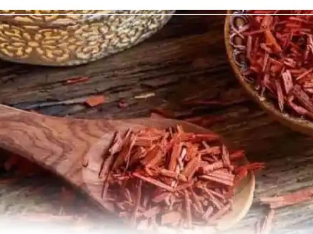 Sandalwood Remedy : चंदनाच्या ज्योतिषीय उपायामध्ये दडलेले आहे शनिदेवाला शांत करण्याचे रहस्य sandalwood chandan benefits secret of pacifying shani is hidden in astrological remedy Sandalwood Remedy : चंदनाच्या ज्योतिषीय उपायामध्ये दडलेले आहे शनिदेवाला शांत करण्याचे रहस्य