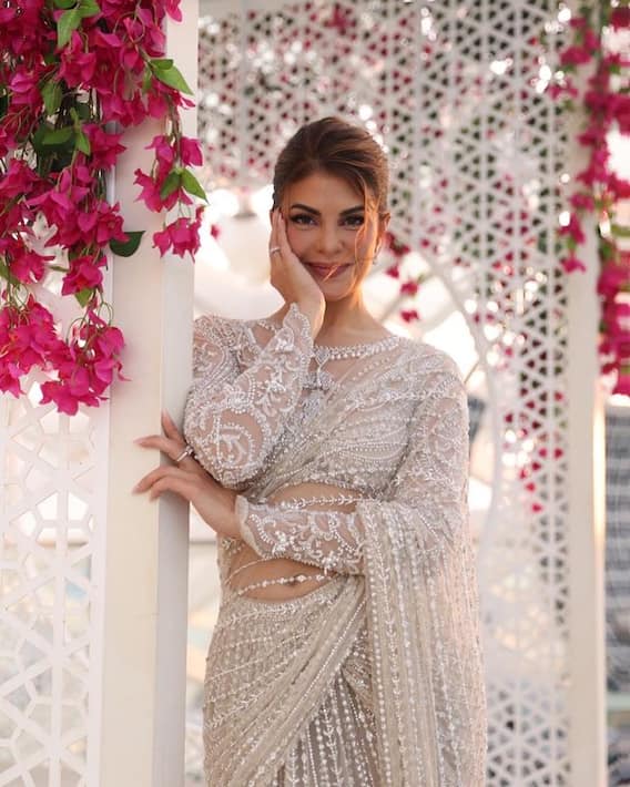 Jacqueline Fernandez Turns A Vision To Behold In A Stunning Sheer Saree, SEE PICS
