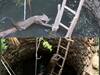 Odisha: Leopard Rescued From Deep Well In Sambalpur Using Unique Technique | WATCH