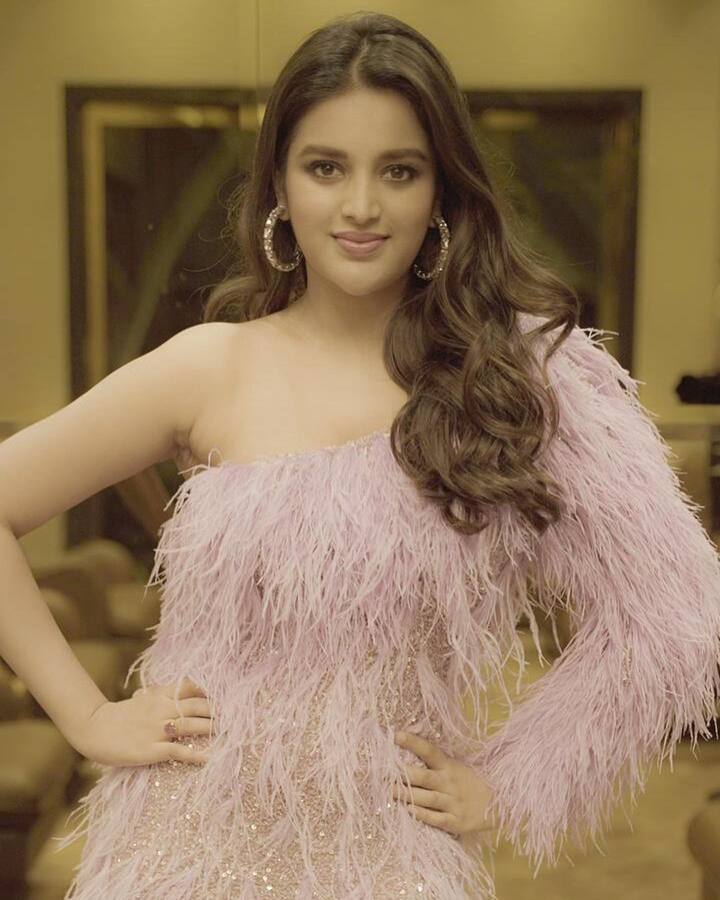 నిధి అగర్వాల్ అందమైన ఫోటోలను ఇన్ స్టాలో పోస్టు చేసింది. ఆ ఫోటోలు అభిమానులకు తెగ నచ్చేశాయి.  -Image Credit:Nidhi agerwal/Instagram