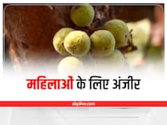 Dry Fig for Women: पीरियड्स दर्द, एनीमिया जैसी इन 6 समस्याओं को दूर करता है अंजीर