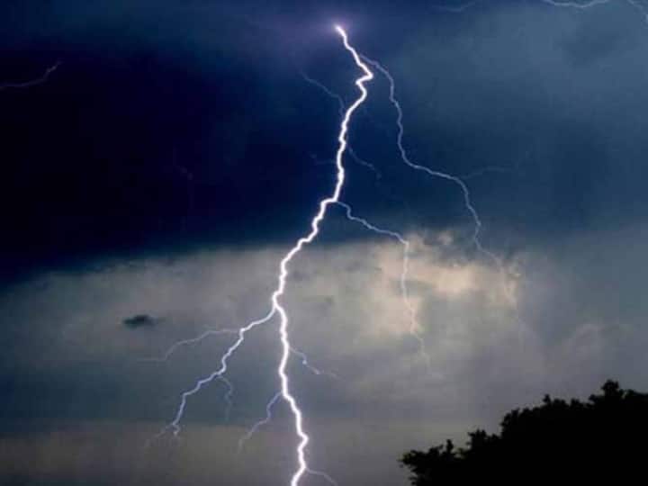Korba Lightning Strike Uncle-nephew died due to lightning in Chhattisgarh Lightning Strike Korba News: कोरबा में आकाशीय बिजली ने ले ली मामा-भांजे की जान, इस वजह से घर से निकले थे दोनों
