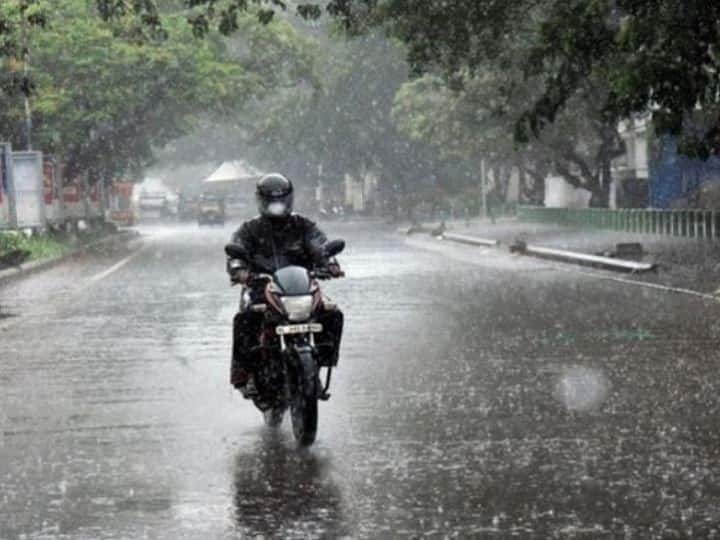 The monsoon will be active all over the state from this weekend, according to the meteorological department Monsoon News : या आठवड्याच्या अखेरपर्यंत राज्यात सर्वत्र मान्सून सक्रिय होणार, हवामान विभागाची माहिती 