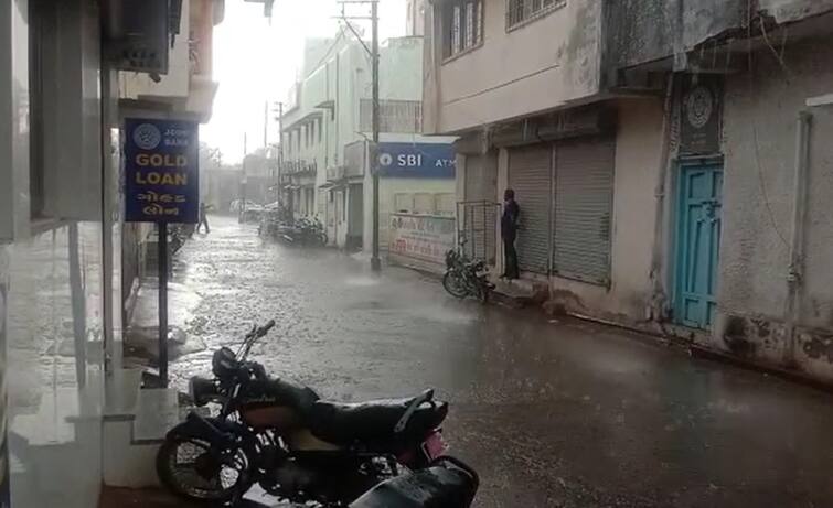 Just before the monsoon, heavy rains in Amerli district, new water came in Shetrunji River Amreli Rain: ચોમાસા પહેલા જ અમેરલી જિલ્લામાં ધોધમાર વરસાદ, શેત્રુંજી નદીમાં નવા નીર આવ્યા