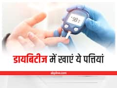 Leaves for Sugar : डायबिटीज में खाएं ये पत्तियां, शुगर लेवल रहेगा कंट्रोल