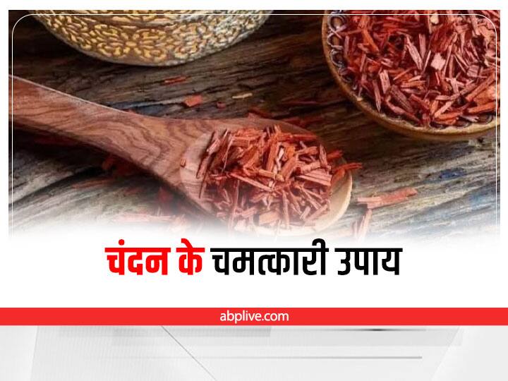 sandalwood chandan benefits secret of pacifying Shani is hidden in astrological remedy Sandalwood Remedy : चंदन के ज्योतिषीय उपाय में छिपा है शनि को शांत करने का रहस्य
