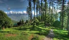 Dhanaulti: उत्तराखंड का वो खूबसूरत हिल स्टेशन, जो लॉन्ग वीकेंड के लिए है बेस्ट ऑप्शन