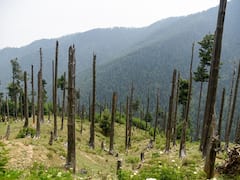 Govt Rejects Environmental Performance Index 2022 That Ranked India Lowest Among 180 Countries