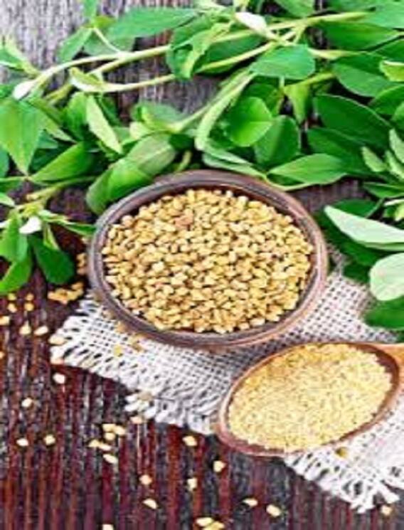வெந்தயத்தில் நிறைந்துள்ள சத்துக்கள்!