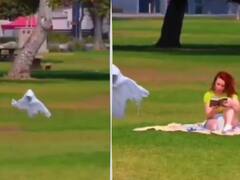 Viral Video: OMG! पार्क में अचानक से पहुंची उड़ती हुई आत्मा, लोग डरकर इधर-उधर भागते दिखे