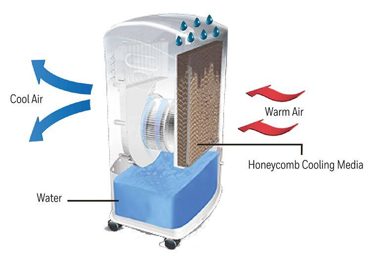 Is the old cooler giving hot air in summer? Do these 3 things right away; Will make the house as cool as Shimla ਗਰਮੀਆਂ 'ਚ ਪੁਰਾਣਾ ਕੂਲਰ ਦੇ ਰਿਹਾ ਹੈ ਗਰਮ ਹਵਾ? ਤੁਰੰਤ ਕਰੋ ਇਹ 3 ਕੰਮ; ਘਰ ਨੂੰ ਬਣਾ ਦੇਵੇਗਾ ਸ਼ਿਮਲੇ ਵਾਂਗ ਠੰਡਾ