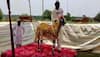 Goat Price: ਮੌਲਵੀ ਨੇ ਕਹੀ ਐਸੀ ਗੱਲ ਕਿ ਰਾਤੋ-ਰਾਤ ਬੱਕਰੇ ਦੀ ਕੀਮਤ 16 ਹਜ਼ਾਰ ਤੋਂ 25 ਲੱਖ ਰੁਪਏ ਹੋਈ, ਜਾਣੋ ਪੂਰਾ ਮਾਮਲਾ