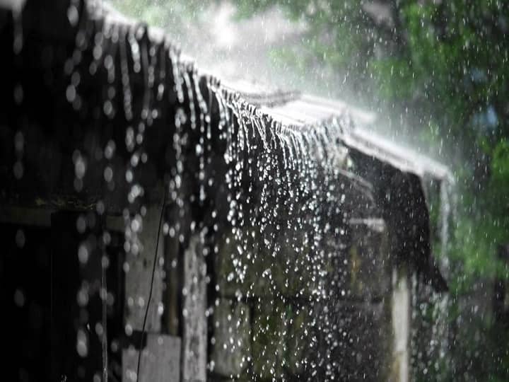maharashtra News Aurangabad Rain fell in Marathwada Aurangabad: मराठवाड्यात पावसाची हजेरी; कृषी विभागाने केलं 'हे' आवाहन