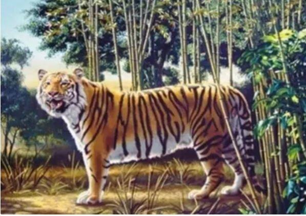 Optical Illusion: Not one but 2 tigers are hidden in the picture, only those with 'hawk' eyes will be seen Optical Illusion: ਇਕ ਨਹੀਂ ਸਗੋਂ 2 ਟਾਇਗਰ ਲੁਕੇ ਹਨ ਤਸਵੀਰ 'ਚ, ਸਿਰਫ਼ 'ਬਾਜ਼' ਵਰਗੀ ਨਿਗ੍ਹਾ ਵਾਲਿਆਂ ਨੂੰ ਹੀ ਵਿਖਾਈ ਦੇਵੇਗਾ