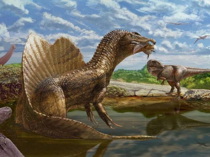 Huge Meat Eating Dinosaur Newly Identified From Egypt Sahara Desert  Abelisaurid Ohio University