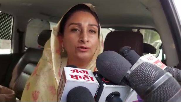 Is Majithia's life in danger in jail? Sister Harsimrat Badal and wife Ganeev are very worried ਕੀ ਮਜੀਠੀਆ ਦੀ ਜਾਨ ਨੂੰ ਜੇਲ੍ਹ 'ਚ ਖਤਰਾ?  ਭੈਣ ਹਰਸਿਮਰਤ ਬਾਦਲ ਤੇ ਪਤਨੀ ਗਨੀਵ ਬੇਹੱਦ ਫਿਕਰਮੰਦ