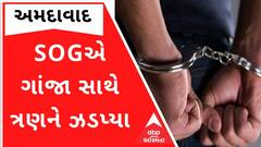 Ahmedabad: SOG ક્રાઈમ બ્રાન્ચે 20 કિલો ગાંજા સાથે ત્રણને ઝડપ્યા, જુઓ ગુજરાતી ન્યૂઝ