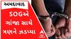 Ahmedabad: SOG ક્રાઈમ બ્રાન્ચે 20 કિલો ગાંજા સાથે ત્રણને ઝડપ્યા, જુઓ ગુજરાતી ન્યૂઝ