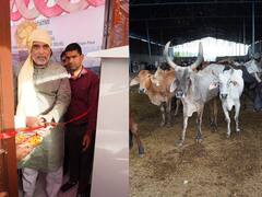 Delhi News: दिल्ली में आधुनिक गोशाला बनाएगी केजरीवाल सरकार, गोपाल राय ने बताया पूरा प्लान