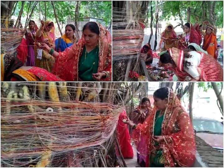 Do not cut down the tree or its branches, it will be a punishment of imprisonment मुंबईकरांनो वडाचे झाड अथवा त्याच्या फांद्या तोडू नका, होईल कारावासाची शिक्षा