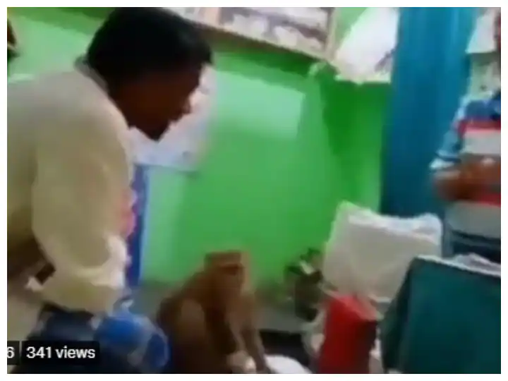 Watch: Monkey reached clinic for her treatment video going viral Watch: ਜ਼ਖਮੀ ਬਾਂਦਰ ਖੁਦ ਇਲਾਜ ਕਰਾਉਣ ਪਹੁੰਚਿਆ ਕਲੀਨਿਕ , ਵੀਡੀਓ ਦੇਖ ਕੇ ਹੋ ਜਾਓਗੇ ਹੈਰਾਨ