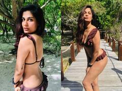 The Family Man एक्ट्रेस Shreya Dhanwanthary के बिकिनी फोटोज़ देख फैंस के उड़े होश, बोले 'कहीं अकाउंट हैक तो नहीं हो गया'