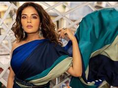 PHOTO: ऋचा चड्ढाने केलं स्टायलिश साडीत फोटोशूट, दिल्या सिझलिंग पोज!