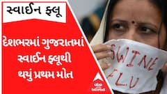રાજ્યમાં સ્વાઈન ફ્લૂથી એકનું મોત, દેશભરમાં આ રોગથી પ્રથમ મોત
