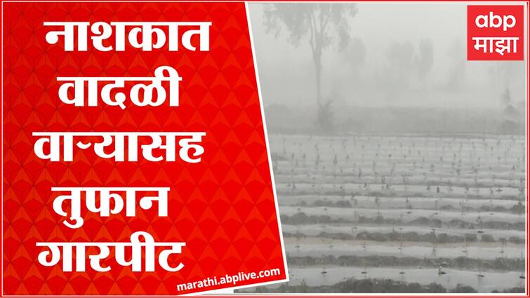 Maharashtra Nashik Rain Heavy premonsoon rains also hit rural areas of Nashik district Nashik News : नाशिककरांनी अनुभवली पहिल्या पावसाची पहिली झलक, बत्तीही गुल