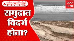 Special Report : 2000 कोटी वर्षापूर्वी विदर्भ समुद्राखाली होता? : ABP Majha