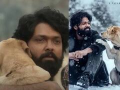 777 Charlie Twitter Review : ‘हा चित्रपट नाही, एक भावना आहे..’, रक्षित शेट्टीच्या ‘777 चार्ली’ची प्रेक्षकांवर जादू! वाचा नेटकरी काय म्हणतायत...