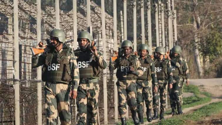 BSF Recruitment 2022 vacancy has been issued by border security force for group b and group c posts BSF Recruitment 2022 : 10वी, 12वी पास उमेदवारांसाठी नोकरीची संधी, 281 पदांसाठी भरती