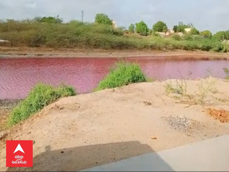 The color of the water in the lake of Koreti village in Vav taluka of Banaskantha district has changed BANASKANTHA : વાવના કોરેટી ગામના તળાવના પાણીનો કલર બદલાયો, સ્થાનિકોમાં કુતુહલ સર્જાયું