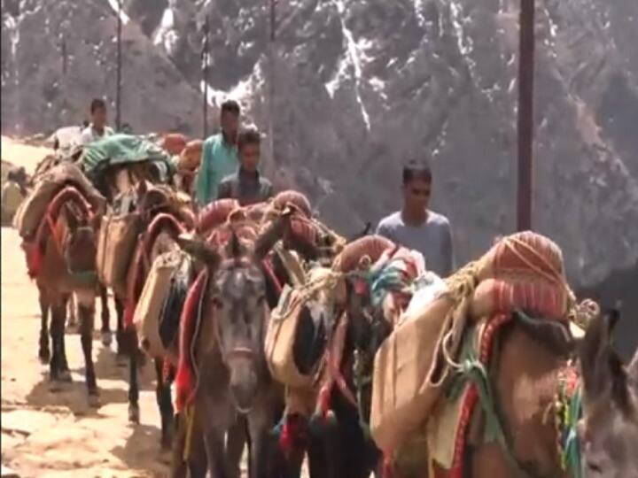 Kedarnath Dham More than 140 horses and mules died in Kedarnath ANN Kedarnath Dham: केदारनाथ में 140 से ज्यादा घोड़े-खच्चरों की मौत, अब पशुपालन विभाग ने की बड़ी कार्रवाई
