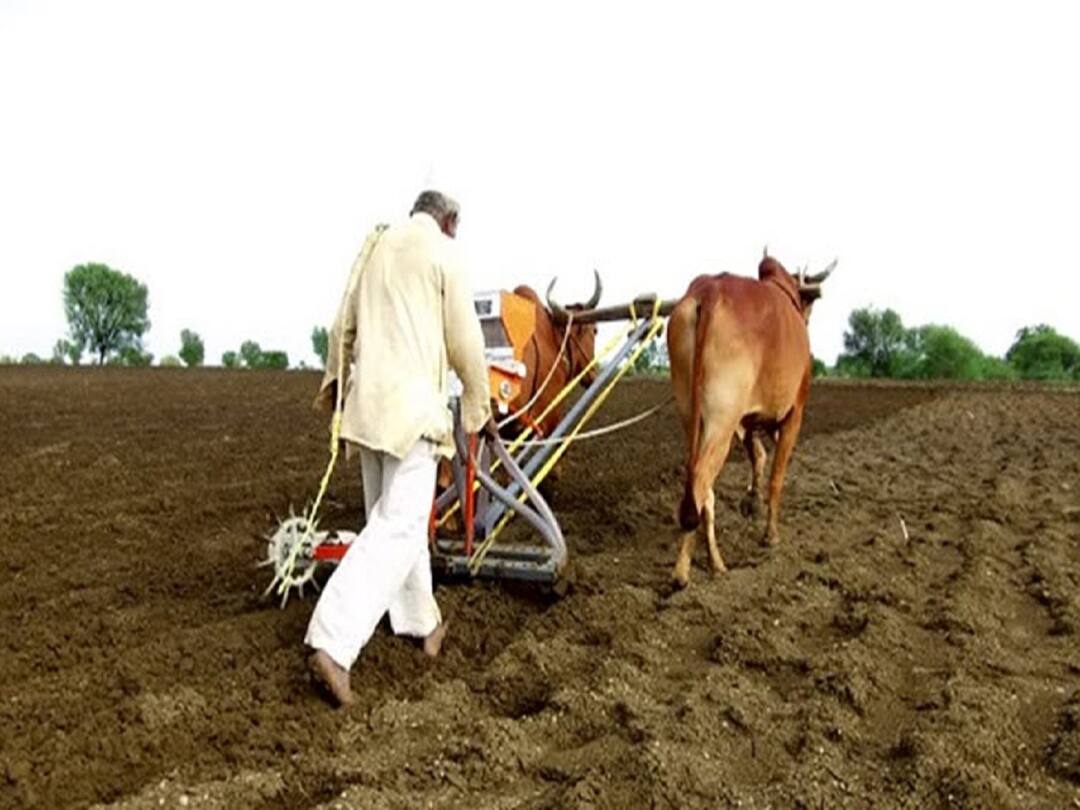 Dheeraj Kumar : 75 ते 100 मिलीमिटर पाऊस झाल्यानंतरच सोयाबीनची पेरणी करावी, कृषी आयुक्त धीरज कुमार यांचं शेतकऱ्यांना आवाहन Soybean should be sown only after 75 to 100 mm of rain, Agriculture Commissioner Dheeraj Kumar appeals to farmers Dheeraj Kumar : 75 ते 100 मिलीमिटर पाऊस झाल्यानंतरच सोयाबीनची पेरणी करावी, कृषी आयुक्त धीरज कुमार यांचं शेतकऱ्यांना आवाहन