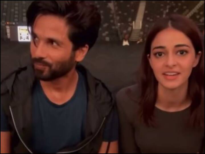 Shahid to share screen with Ananya Panday? Actor gave this answer Shahid Kapoor And Ananya Pandey: अनन्या पांडे के साथ स्क्रीन शेयर करेंगे शाहिद? एक्टर ने दिया ये जवाब