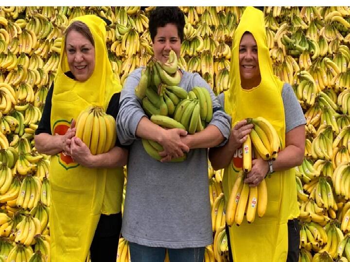 31ஆயிரம் கிலோ வாழைப்பழத்தை காட்சிப்படுத்தி கின்னஸ் சாதனை.. எப்படி தெரியுமா? Banana Bonanza: Display Featuring 31,751 Kg Of Bananas Breaks World Record 31ஆயிரம் கிலோ வாழைப்பழத்தை காட்சிப்படுத்தி கின்னஸ் சாதனை.. எப்படி தெரியுமா?