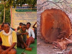 Save Hasdeo forest: छत्तीसगढ़ में पेड़ों को बचाने के लिए जंगल में टेंट लगाकर रह रहे हैं ग्रामीण, देखें तस्वीरें