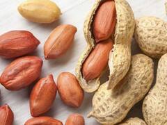 Cabinet Decision on MSP: केंद्र सरकार की तरफ से बढ़ोतरी के बाद खरीफ फसलों के समर्थन मूल्य जानिए