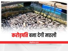 Bio Flock for Money Flow: कम खर्च में करोड़पति बन जायेंगे, इस तालाब में करें मछली पालन