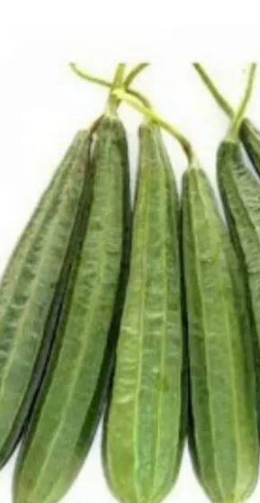 दोडक्याच्या दरातही मोठी वाढ