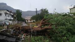 Nashik Chandwad Rain : चांदवडला पावसाची वादळी सलामी, कांदा शेड, झाडे, विद्युत खांब कोसळले, अनेक जण जखमी